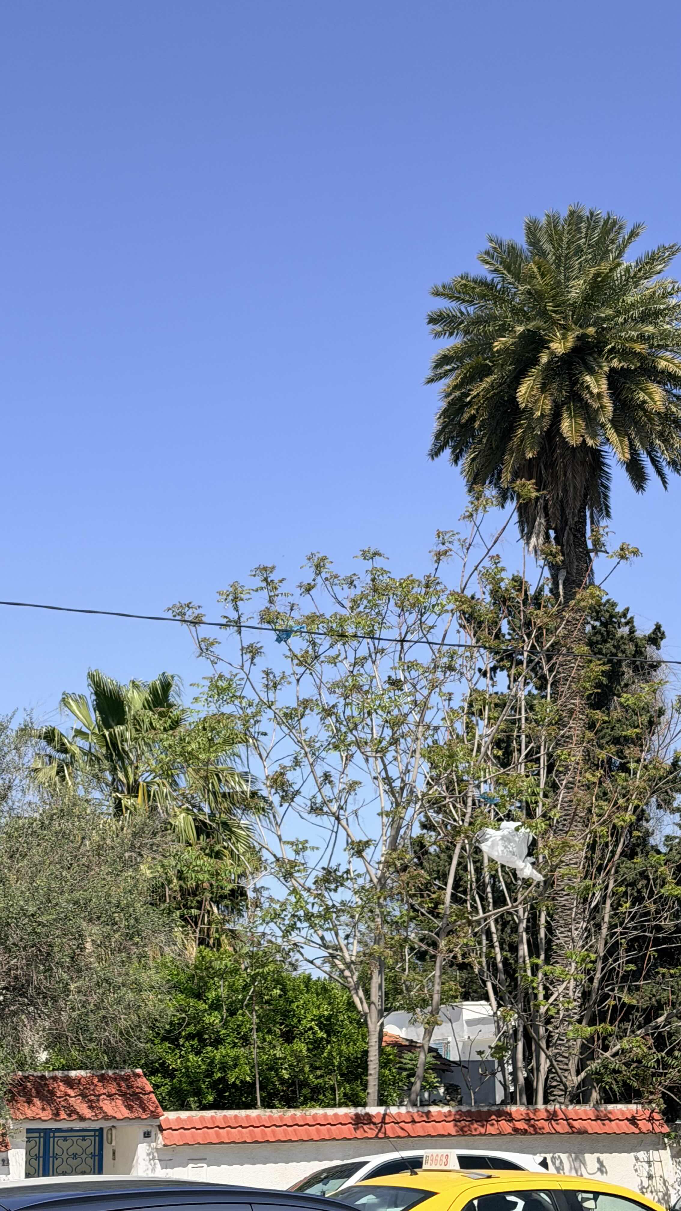 Photo 1 of 2