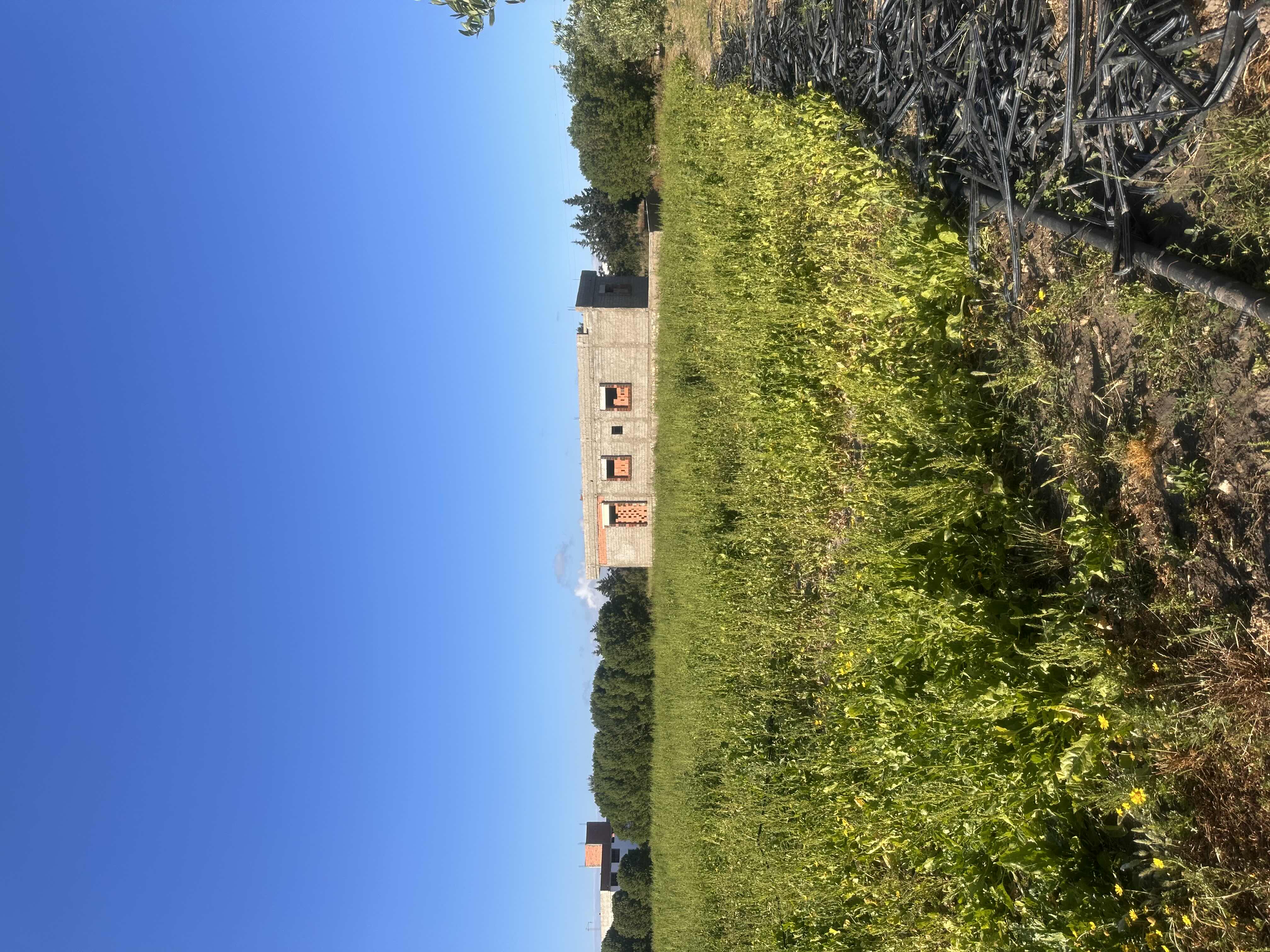 Photo 1 of 2