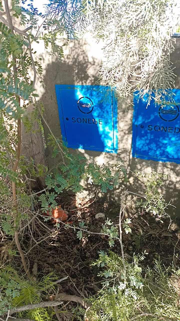 Photo 1 of 7